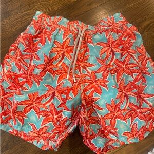 Vilebrequin Turquoise and Red Leaf Swim Shorts